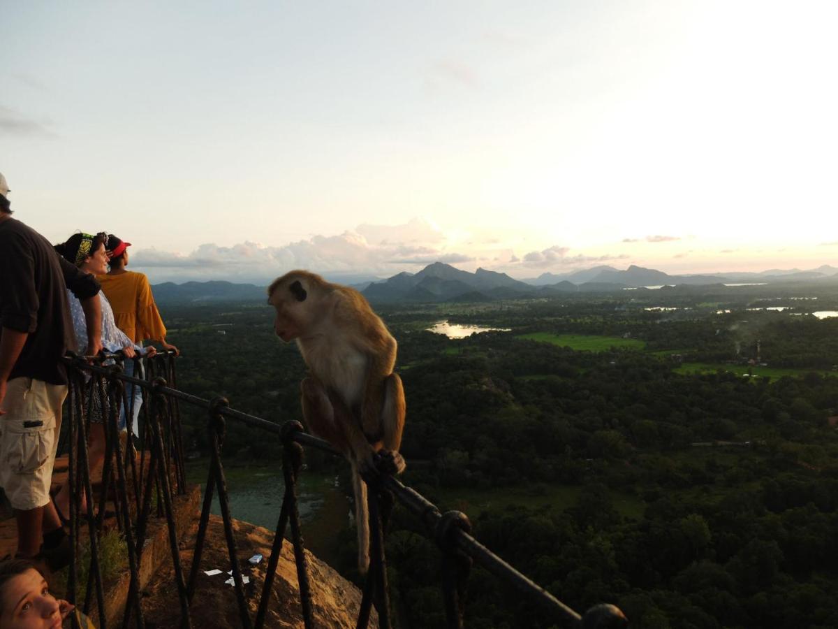 One More Night Hostel Sigiriya Luaran gambar