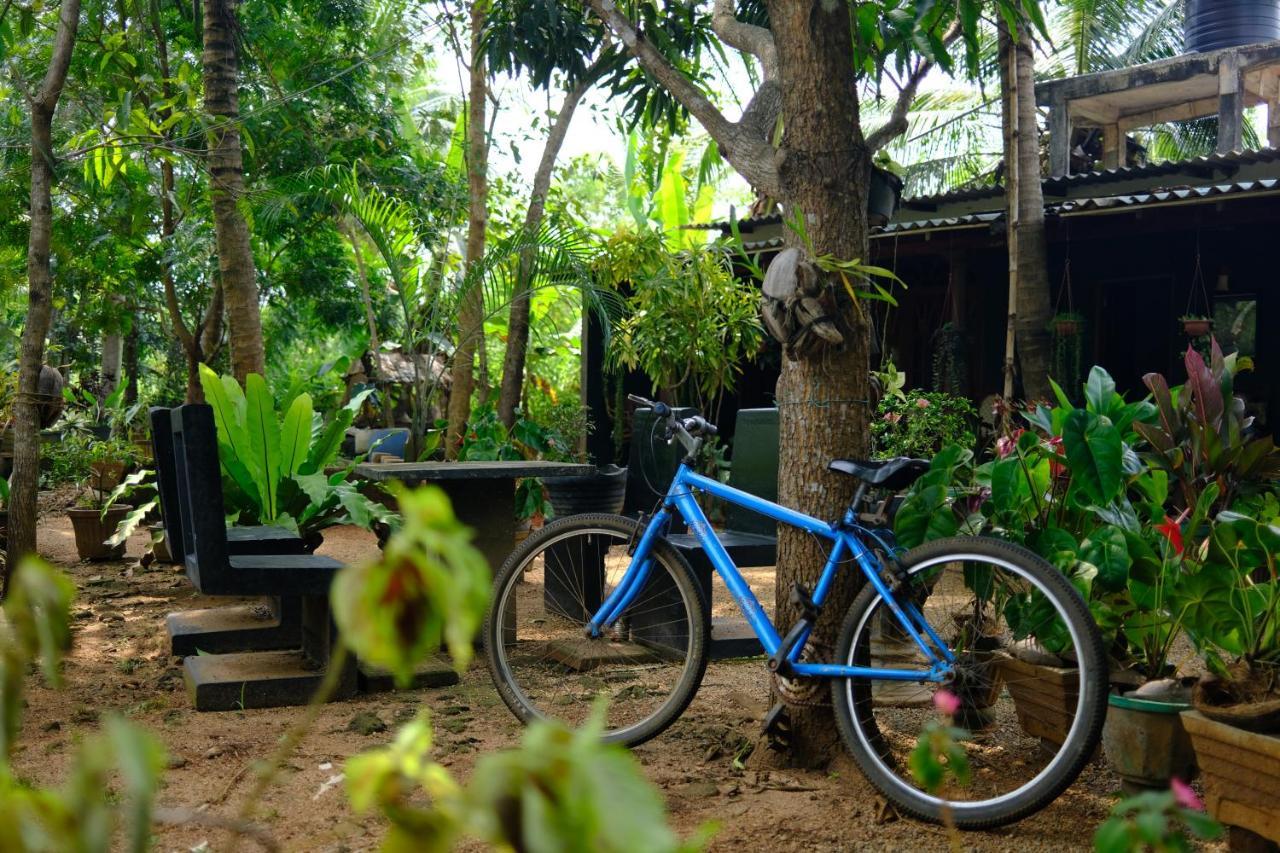 One More Night Hostel Sigiriya Luaran gambar
