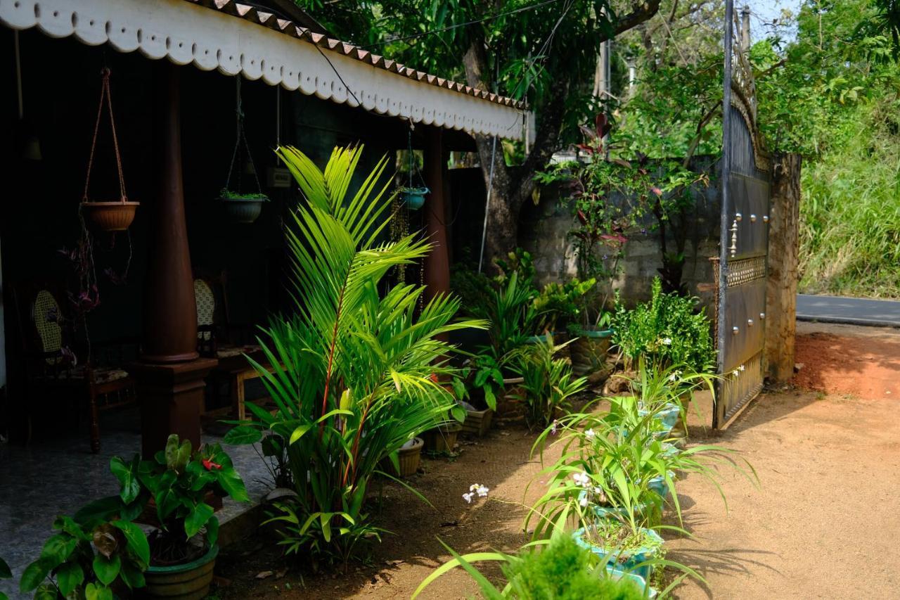 One More Night Hostel Sigiriya Luaran gambar