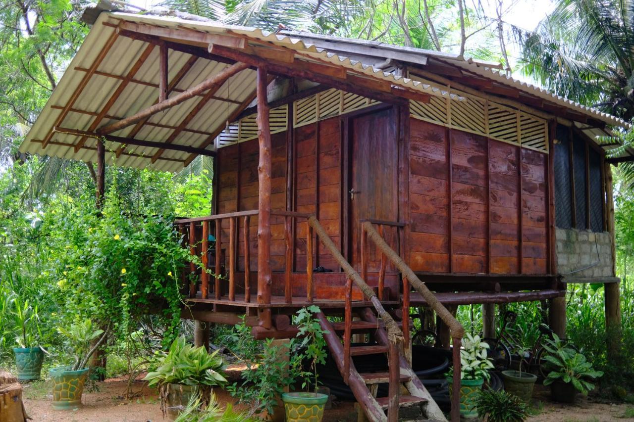 One More Night Hostel Sigiriya Luaran gambar