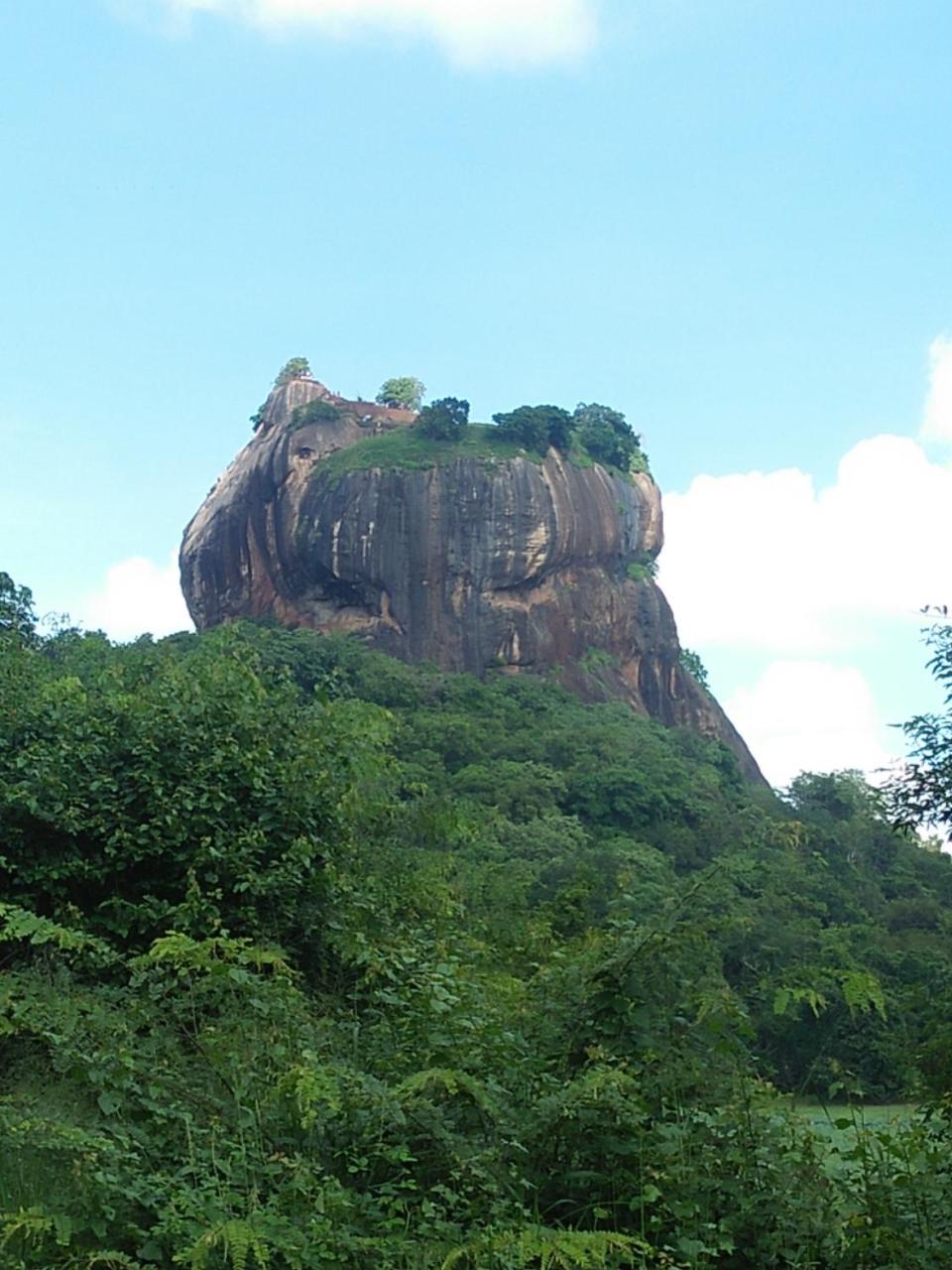 One More Night Hostel Sigiriya Luaran gambar
